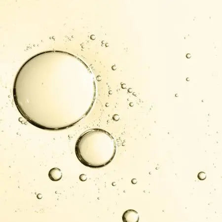 Lotion anti-chute capillaire à l'Undaria Pinnatifida - FITNESS ZEN STORE