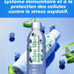 ALOE VERA AV PULP™ | Jus Concentré Digestif, Immunitaire et Antioxydant à la Myrtille - 675ml FITNESS ZEN STORE