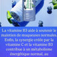 ALOE VERA AV PULP™ | Jus Concentré Digestif, Immunitaire et Antioxydant à la Myrtille - 675ml FITNESS ZEN STORE