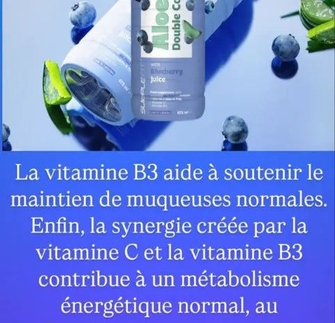 ALOE VERA AV PULP™ | Jus Concentré Digestif, Immunitaire et Antioxydant à la Myrtille - 675ml FITNESS ZEN STORE