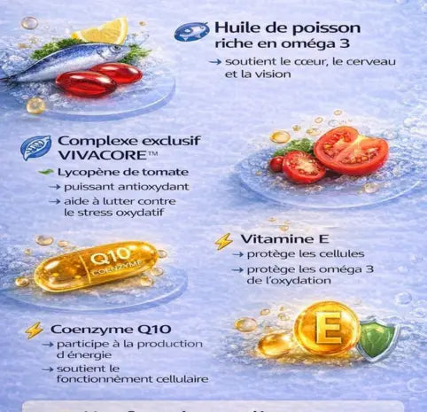 OMEGAPOWER VIVACORE™ | Oméga-3 Haute Concentration Cœur Cerveau Vision FITNESS ZEN STORE